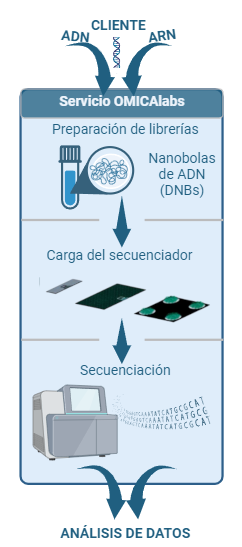 Secuenciación