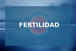 Fertilidad