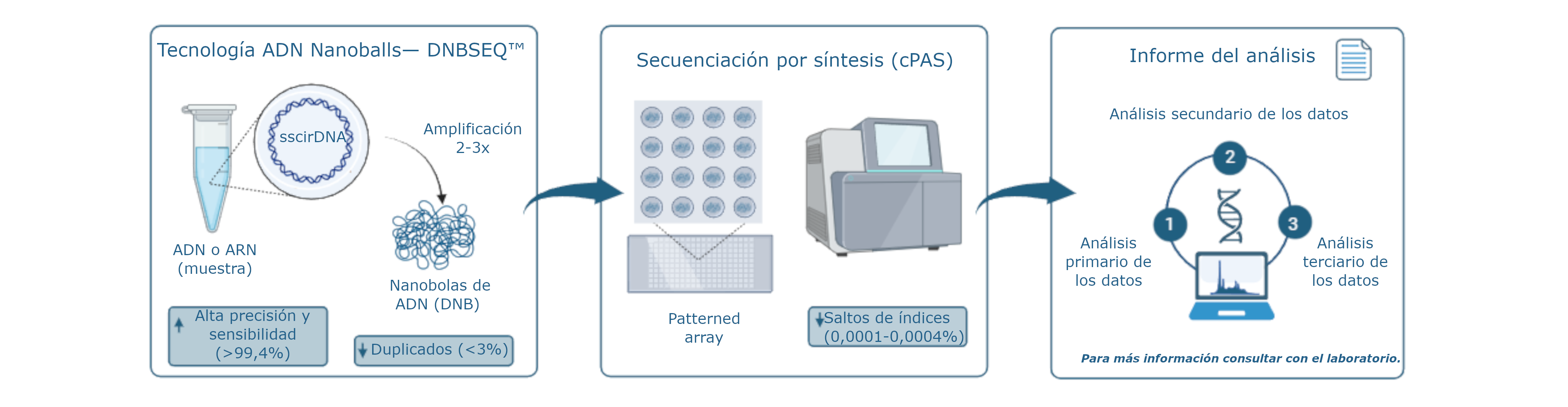 workflow investigacion